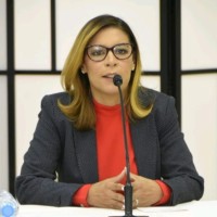 Disposición Tribunal Constitucional afecta recepción de candidaturas