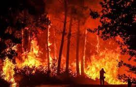 Europa y Reino Unido registra 6,4 megatoneladas de carbono en incendio