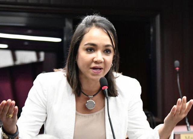 Faride Raful dice Senado revisará «exhaustivamente» partida a Educación dentro del presupuesto