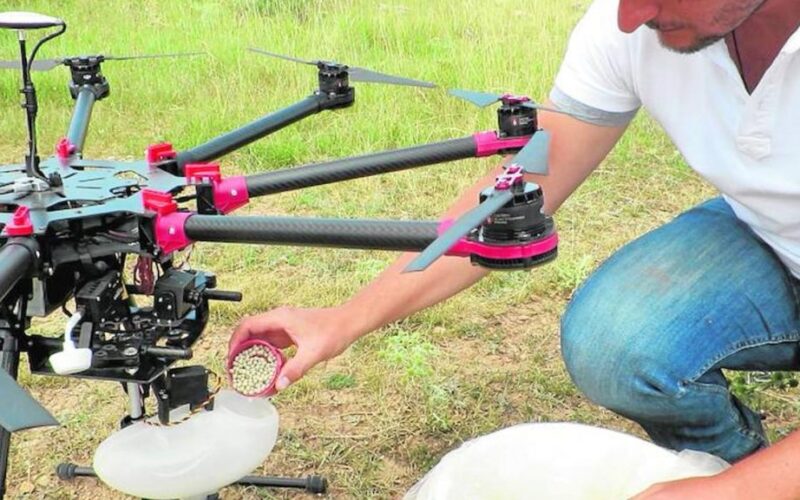 Diseñan sistema para reforestar con semillas «inteligentes» y drones